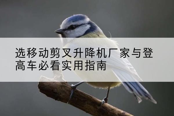滁州电动升降机厂家-选移动剪叉升降机厂家与登高车必看实用指南