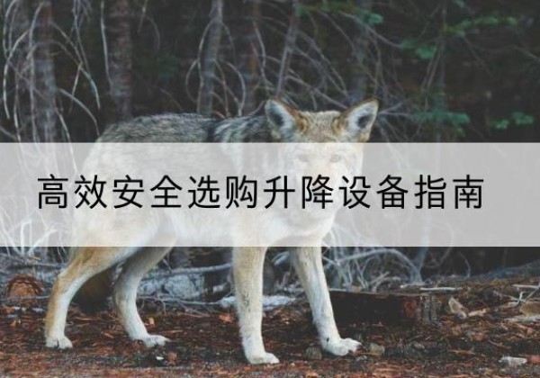 滁州升降货梯厂家推荐-*安全选购升降设备指南